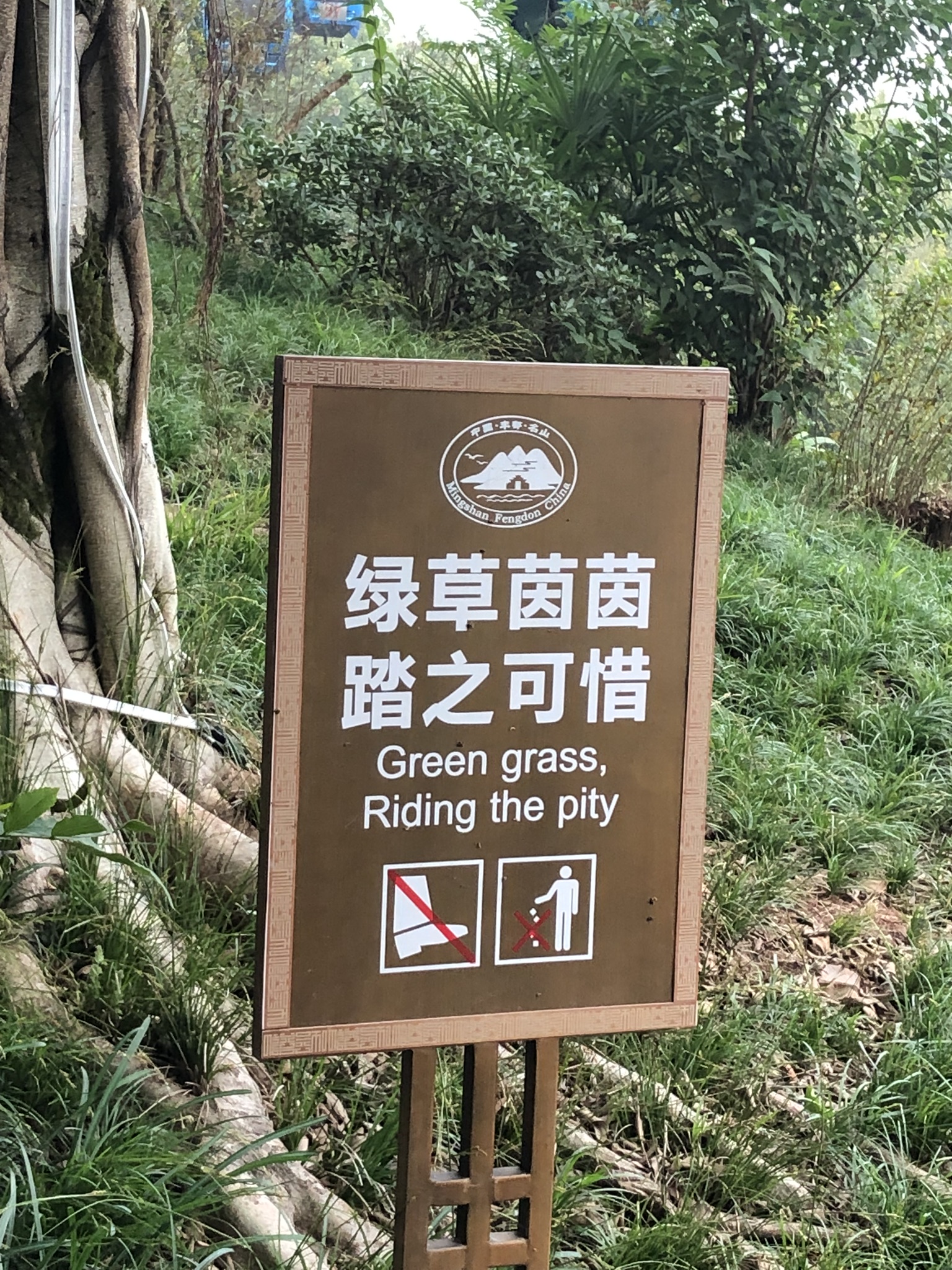 a-few-funny-signs-from-china-let-me-show-you-the-world